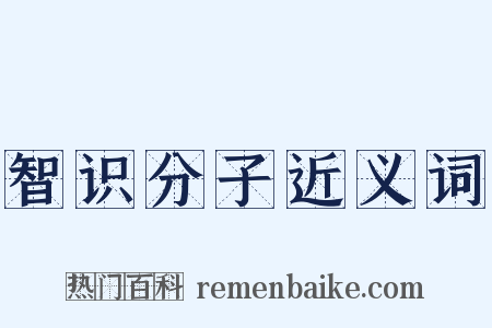 智识分子近义词是什么意思的图片